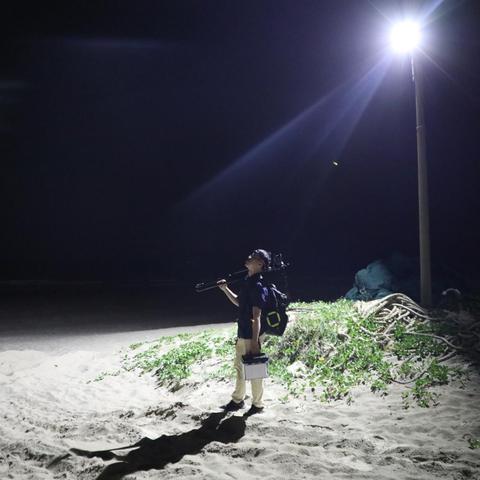 (夜幕求生)探索深夜神秘世界:夜幕者游戏菜单版全新特性及玩法详细解析 (夜幕求生)探索深夜神秘世界:夜幕者游戏菜单版全新特性及玩法详细解析