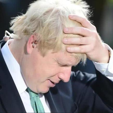 (夏洛特的cg)夏洛特的餐桌中文版下载地址及使用方法分享给您 (夏洛特的cg)夏洛特的餐桌中文版下载地址及使用方法分享给您