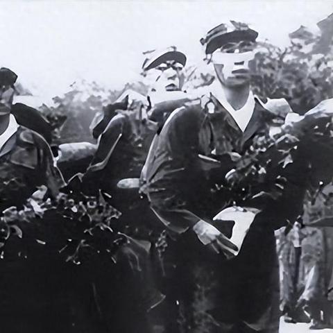 (一个特种小队有什么配置和装备要求)一个特种小队有什么配置和装备? (一个特种小队有什么配置和装备要求)一个特种小队有什么配置和装备?