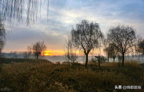 (薄雾风景)探秘神秘仙境:薄雾笼罩下的神奇场地及其奇幻之美 (薄雾风景)探秘神秘仙境:薄雾笼罩下的神奇场地及其奇幻之美