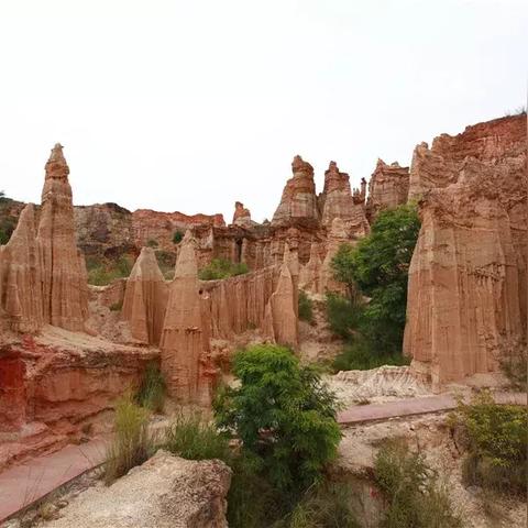 (原始蛮荒时代)探索‘原始蛮荒’的深刻含义及其在文化与自然中的象征意义 (原始蛮荒时代)探索‘原始蛮荒’的深刻含义及其在文化与自然中的象征意义