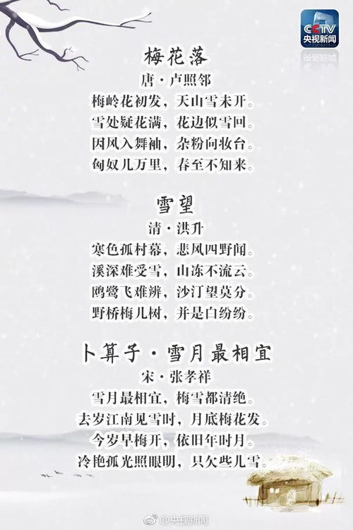 (奔跑的蜗牛歌词是什么意思)奔跑的蜗牛歌词完整版：一首关于梦想与坚持的感人歌曲