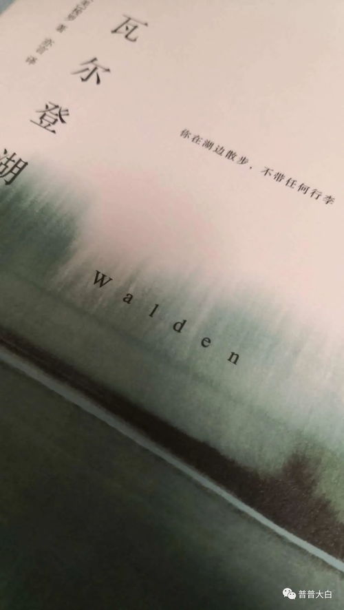 风云战国之列国秦国篇：权谋角逐，恩仇情仇，强秦霸业力挽狂澜