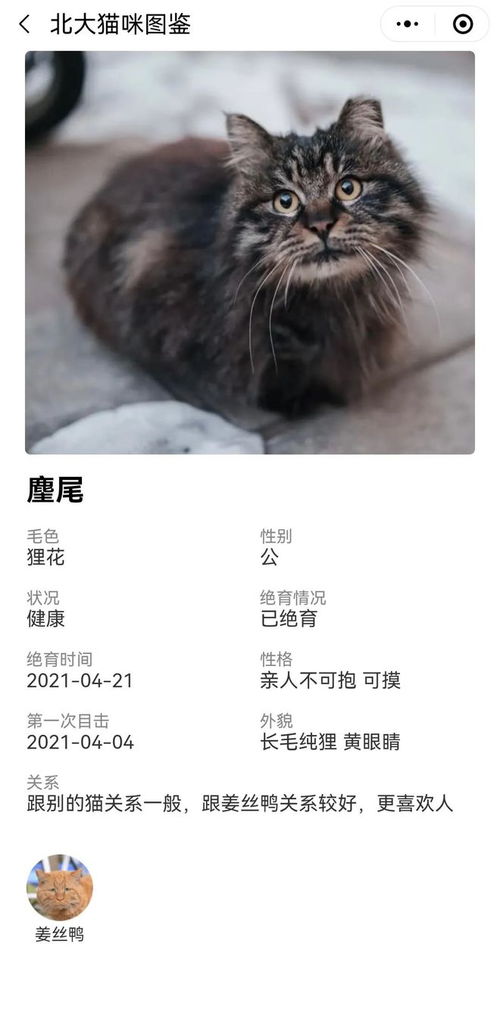 笔记本电脑黑屏了怎么恢复正常？五种有效方法教你快速解决笔记本黑屏问题