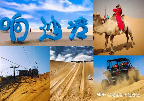 狮驼岭2高清免费播放：感受超级精彩的冒险旅程，无需付费就能享受震撼的大屏视觉盛宴
