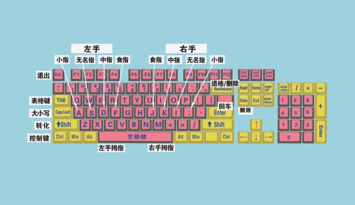 (老年人学电脑打字怎么学)探讨老年人学习电脑键盘操作的方法和挑战