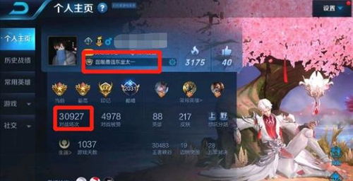 (永恒联盟比赛直播)永恒联盟手游多久开一个区服？开区时间长短由什么决定？