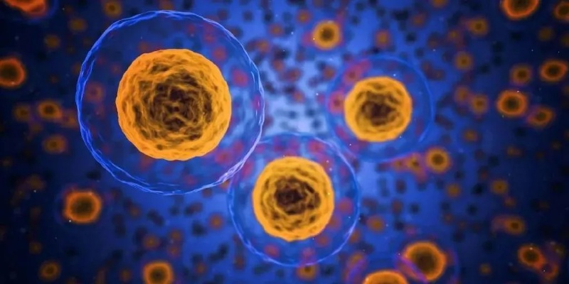 (细胞生物学技术有哪些前沿)探索细胞奇点超越E27的前沿科技：未来生物学的新篇章