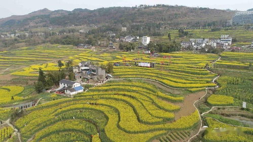 (在老家的生活说说)在老家生活下载中文版，体验田园风光与传统乡村文化的魅力