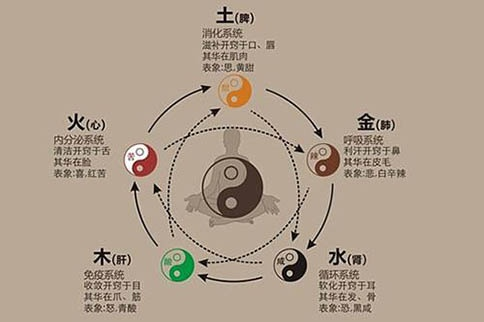 (五行师官方网站)五行师官网正版下载：全面解析五行学说，助您掌握命理奥秘