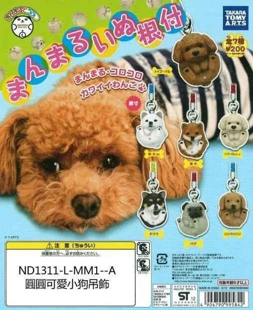 (奇毛党汪汪队)迷人的汪汪队奇毛cp：犬猫快乐组合，萌化你的心