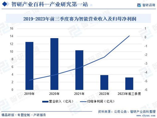 时序残响背后的力量：详细探讨这家公司的发展历程与未来前景