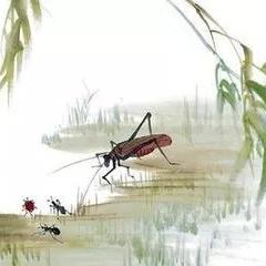 (蟋蟀,被称为会唱歌的昆虫)令人惊叹的大自然之美：会唱歌的蟋蟀在夏夜翩翩起舞的图片