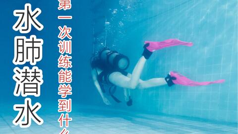 (水肺潜水教程)24个ow水肺潜水技巧，让您更加专业游弋海底世界