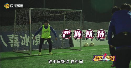 探寻绿茵奇迹正版游戏魅力：畅玩足球世界，挑战全球玩家，感受真实体育竞技的乐趣