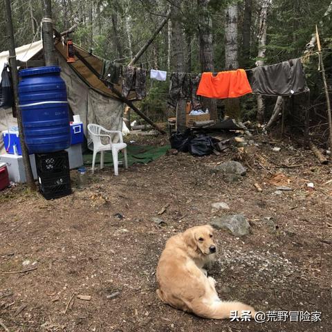 探索《猎人》升级版：风之旅团新版究竟叫什么，其背后蕴含的深层含义是什么?