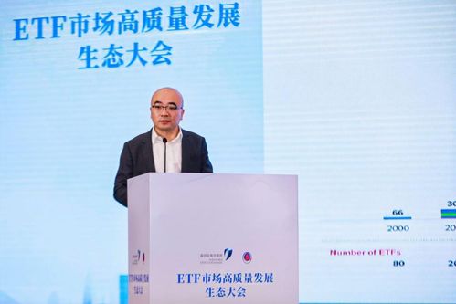 (天浩投资有限公司董事长)天浩投资有限公司：打造未来的财富增长利器