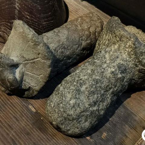 厦门海关成功打击非法野生动物交易，一举查获12只濒危物种印度星龟