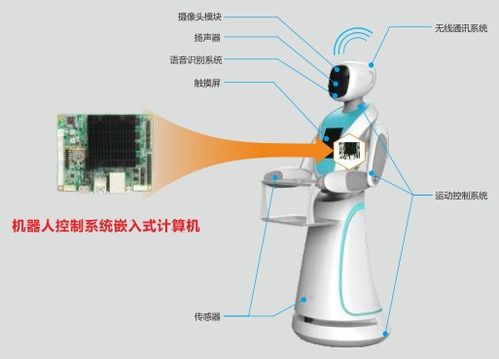 探究皮宠连萌科技停售背后的原因：市场竞争压力还是经营策略调整引发的变动？