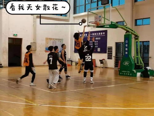 肥鹅健身房热血篮球赛玩法详解，轻松上手享受篮球乐趣