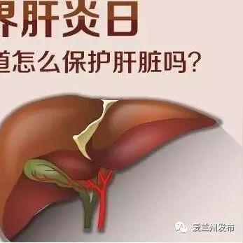 (护肝修仙)养生之道：修个肝仙不减反增版——探索肝功能增强的健康秘密