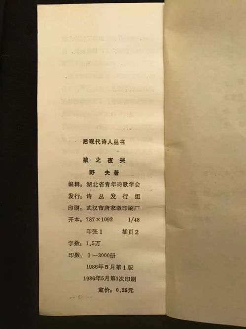 (梦醒少女狼与赞美诗图文攻略)梦醒少女：狼与赞美诗全关卡攻略与角色解析，助你轻松通关