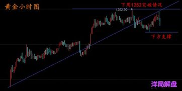 (k黄金是什么)挖掘黄金KV和KV99：了解黄金KV的奥秘与KV99的神秘之处