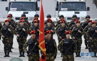 (攻坚特勤什么时候出)攻坚特勤国际版：探秘全球特种行动背后的秘密与挑战
