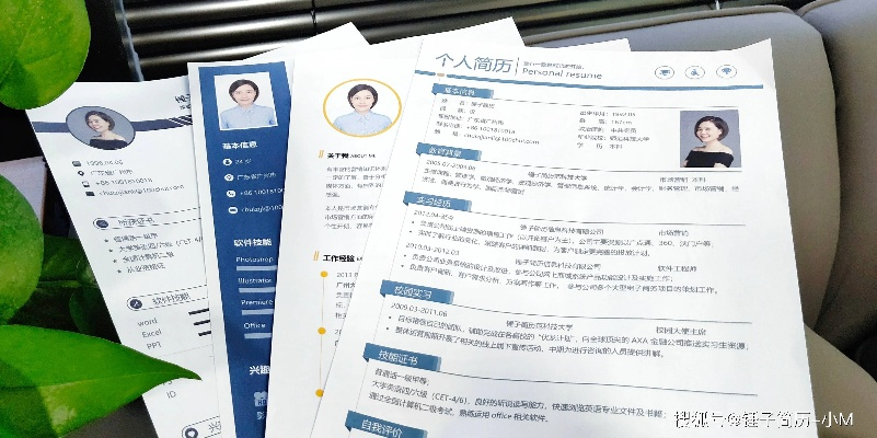 (完美避雷)打造完美雷霆个人简历，让您脱颖而出