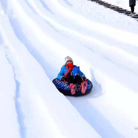 (秒懂百科冰雪奇缘)探寻冰雪奇缘：从北极到南极，冰川与冰雪的神秘奇幻之旅