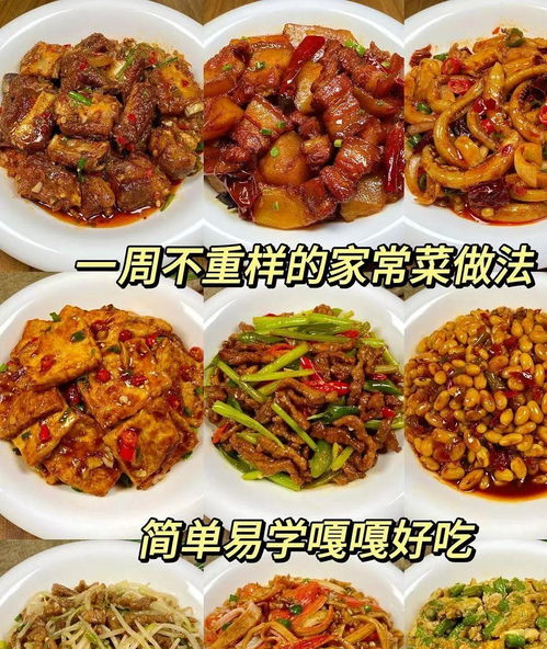 (简单易学家常菜做法大全)简单易学 家常菜菜谱 大全100道菜 保证让你轻松成为厨房小能手