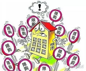 叶清眉是穿越的吗？揭秘历史背景与穿越迹象，引发读者思考与讨论