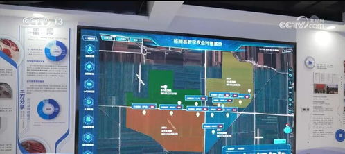 创新科技与多语言支持：三蹦子倒车提示音系统的全新体验解析
