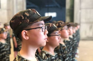 受版权问题影响，热门手游塔防群侠传遭遇下架风波，影响众多玩家体验