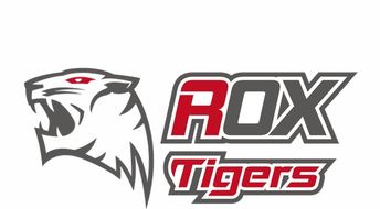 探讨游戏革新：以rox新世代诖生资料库为核心，揭示电子竞技行业的未来发展趋势