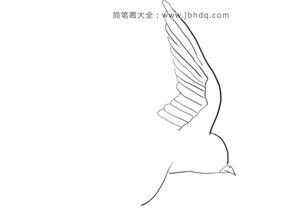(燕子怎么画简笔画 幼儿)教你如何画3-6岁儿童喜爱的燕子简笔画技巧