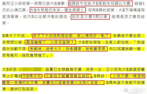 熊出没之开心乐园：快乐时光，与熊大和熊二一起探索乐园的奇幻世界