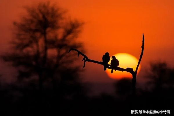 (黎明的一)黎明的范围：唤醒心灵，启迪思想，领略黎明时分的独特魅力