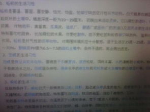 勇敢的小鱼：以'小鱼探险记作文500字'为主题探讨生存技巧与友情的重要性