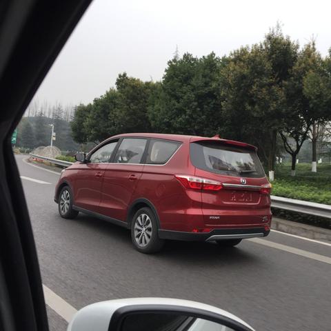 (代号:花官网)探秘代号花CV：解密人气动画中角色之间的神秘关系与故事发展