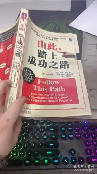 (如何踏入政界)从政途晋级到巅峰：如何成功踏上政治之路