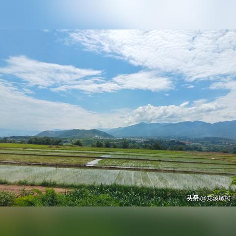 (遗址属于什么文化)遗址究竟是古代文明的遗迹还是实物文物呢？