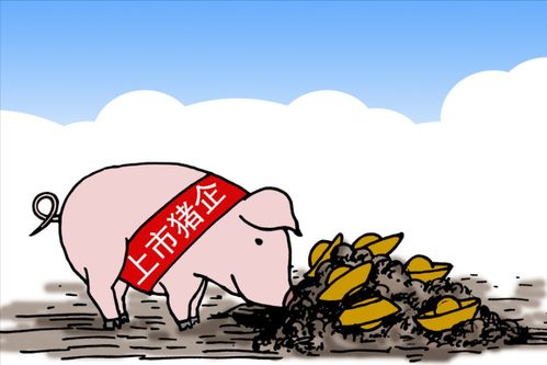 中国养猪大王：执迷致虚，百亿产业缔造者，全球猪肉市场的领军者。