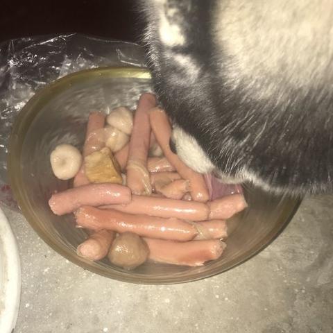 (小白解说香肠派对)香肠派对小小明解说：带你领略游戏的精彩瞬间与技巧分享