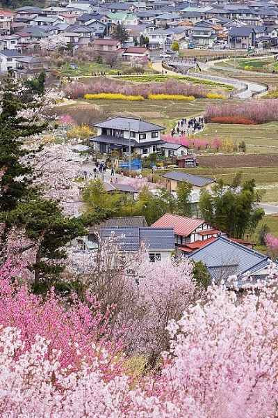 (日本的田园风光)探索日本风情 体验田园生活 手游下载福利大放送