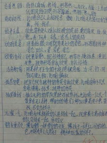 探究成语历史背景：怒火燎原的内涵解析与在现代社会的现象演绎