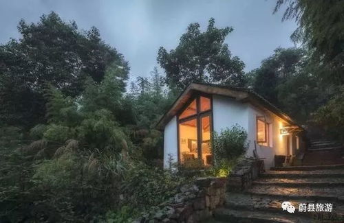 (蛋屋哪里有售)探秘蛋屋民宿：与自然共生的别具特色住宿体验