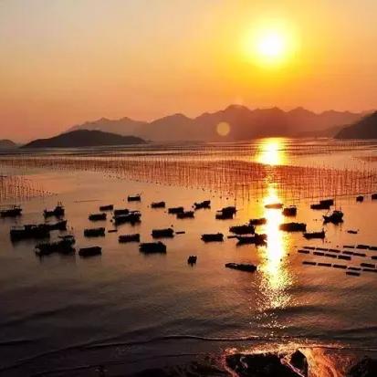 (航海与家园攻略)航海与家园平民最强阵容：打造属于自己的海上小世界