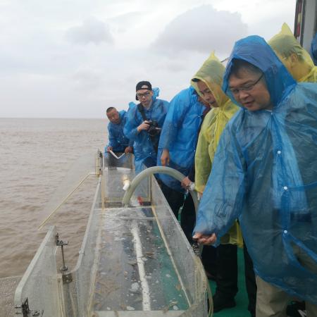 (航海与家园攻略)航海与家园平民最强阵容：打造属于自己的海上小世界