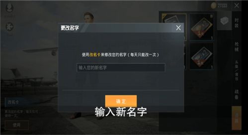 (和平精英重命名怎么修改)如何重新命名和平精英？快来看看最佳改名建议！